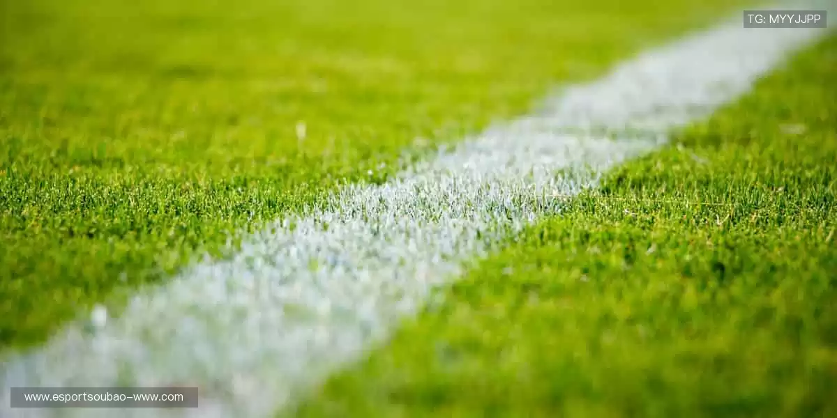 💻互动弹幕，让热爱不再孤单！